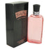 LUCKY YOU by Liz Claiborne Eau De Toilette Spray 3.4 oz for Women