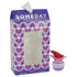 Someday by Justin Bieber Mini EDP in Gift Box .25 oz for Women